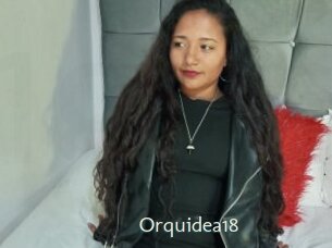 Orquidea18