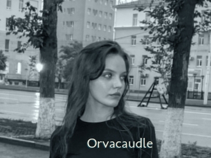 Orvacaudle