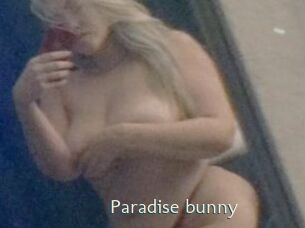 Paradise_bunny