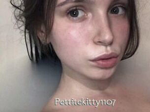 Pettitekitty1107
