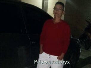 Polexcuteboyx