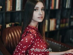 PolinaSoft