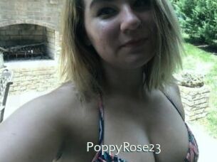 PoppyRose23
