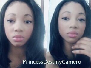 PrincessDestinyCamero