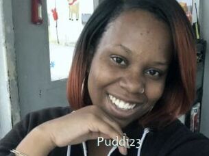 Pudd123