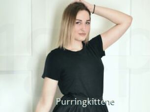 Purringkittene