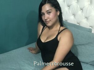 Palmerrbrousse