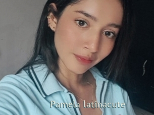 pamela_latinacute 1 grosse chatte poilue