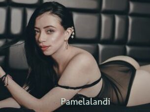 pamelalandi 1 grosse chatte poilue