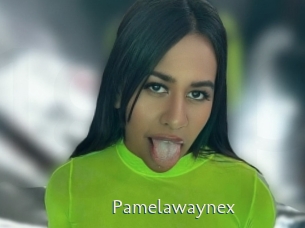 Pamelawaynex