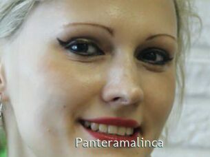 panteramalinca 1 grosse chatte poilue
