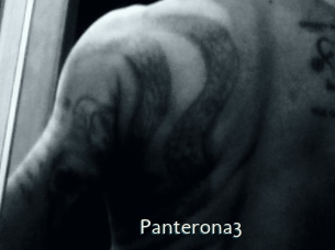 Panterona3