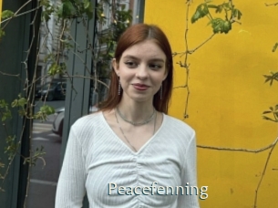 Peacefenning