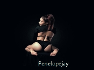 penelopejay 1 grosse chatte poilue