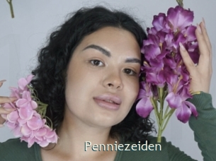 Penniezeiden