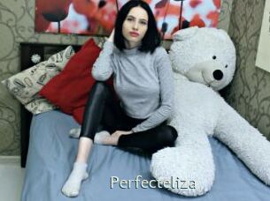 Perfecteliza