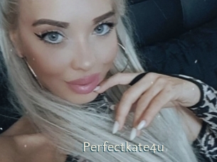 perfectkate4u 1 grosse chatte poilue