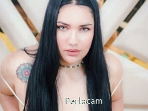 perlacam 1 grosse chatte poilue