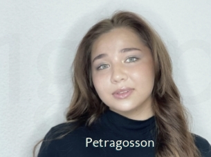 petragosson 1 grosse chatte poilue