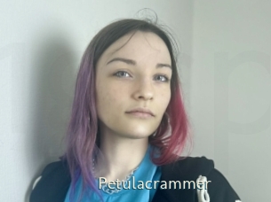 Petulacrammer