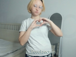Petulaecton