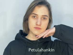 Petulahankin