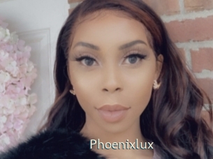 phoenixlux 1 grosse chatte poilue
