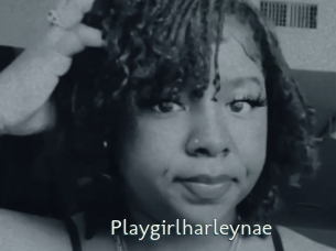 Playgirlharleynae