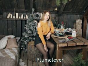 Plumclever