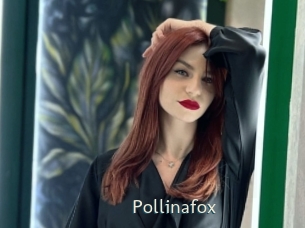Pollinafox