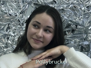 Pollybrucker