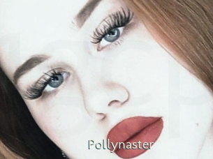 Pollynaster