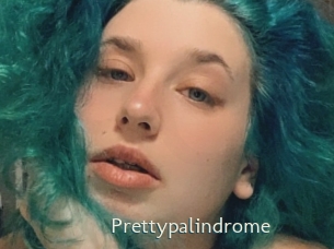 prettypalindrome 1 grosse chatte poilue