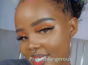 pretzeldangerous 1 grosse chatte poilue
