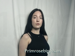 Primrosebingham