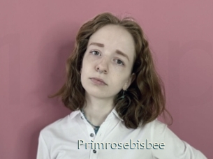 Primrosebisbee