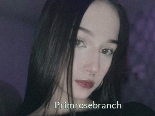 Primrosebranch