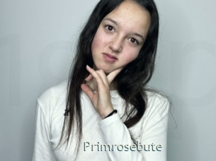 Primrosebute