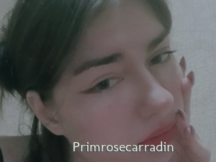 Primrosecarradin