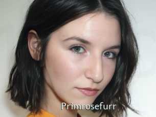 Primrosefurr