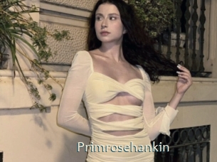 Primrosehankin