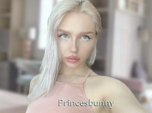 princesbunny 1 grosse chatte poilue