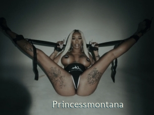 princessmontana 1 grosse chatte poilue
