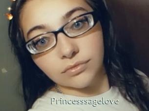 princesssagelove 1 grosse chatte poilue