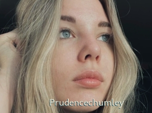 prudencechumley 1 grosse chatte poilue