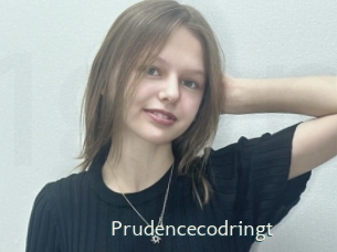 Prudencecodringt
