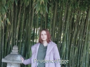 Prudencefigge