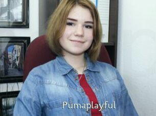 Pumaplayful