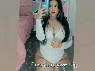 Pussyhairywetbig