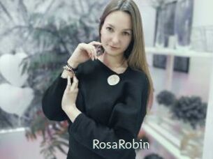 RosaRobin 1 grosse chatte poilue